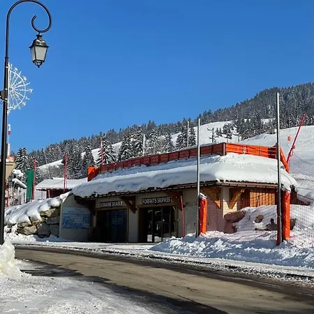 Chalet Familial Au Pied Des Pistes Et Commerces *