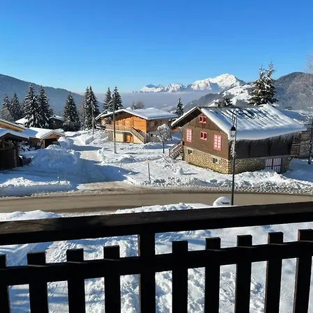 Familial Au Pied Des Pistes Et Commerces *