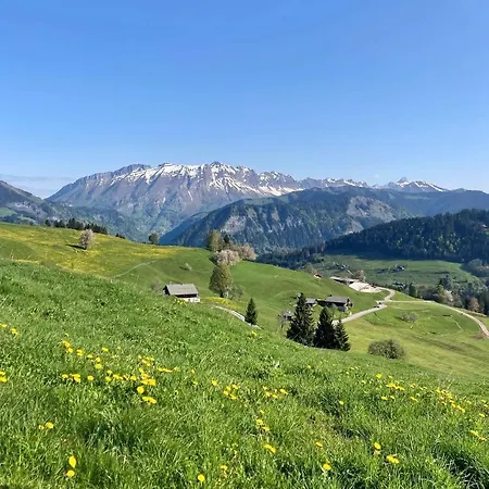 Chalet Familial Au Pied Des Pistes Et Commerces *