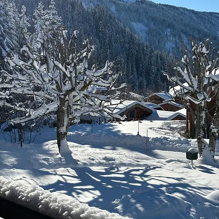 Chalet Familial Au Pied Des Pistes Et Commerces *