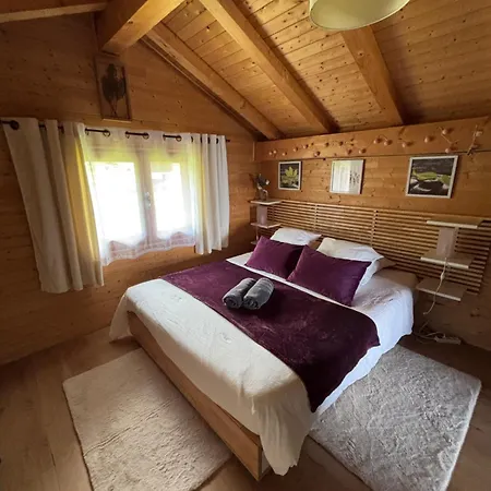 Familial Au Pied Des Pistes Et Commerces